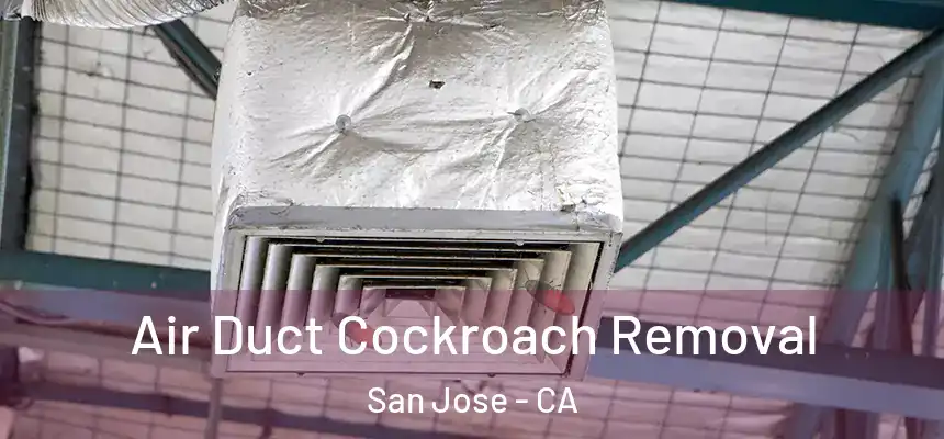  Air Duct Cockroach Removal San Jose - CA