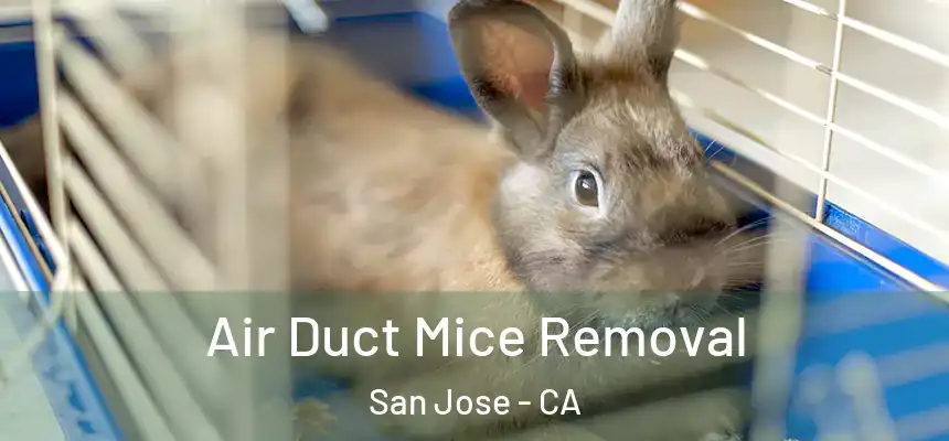 Air Duct Mice Removal San Jose - CA