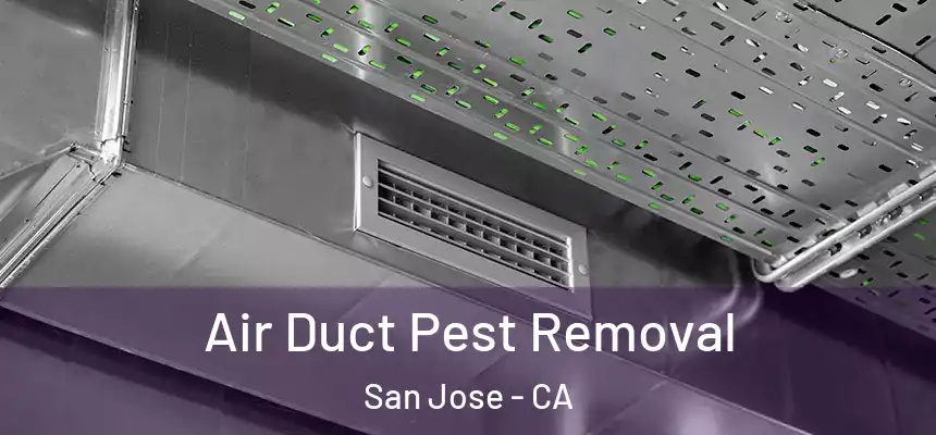  Air Duct Pest Removal San Jose - CA