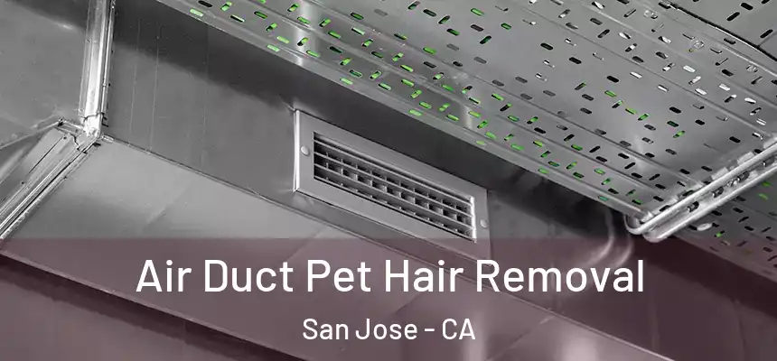 Air Duct Pet Hair Removal San Jose - CA