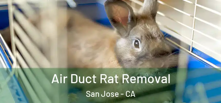  Air Duct Rat Removal San Jose - CA