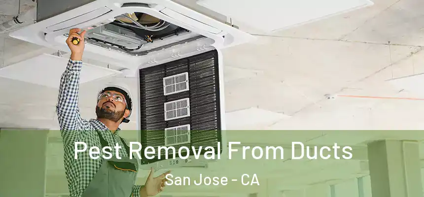 Pest Removal From Ducts San Jose - CA