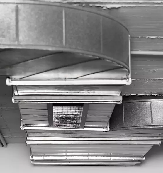 Professional Air Duct Pest Removal in San Jose, CA