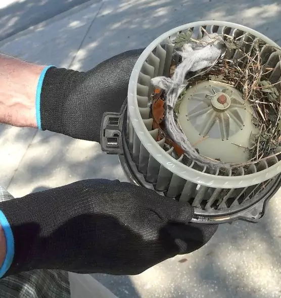 About Air Duct Rat Removal in San Jose, CA