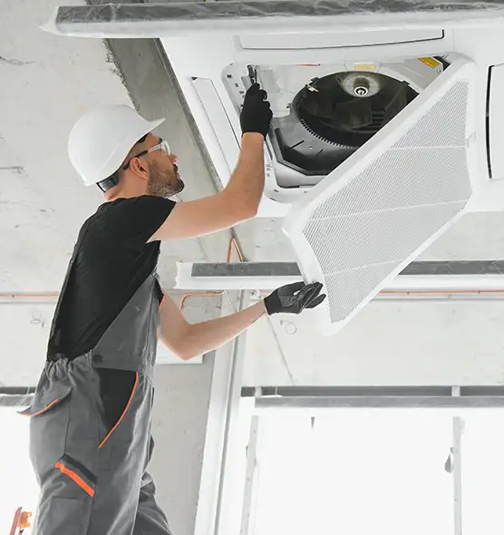 About Air Duct Rodent Removal in San Jose, CA