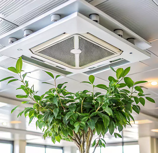 Why Homeowners & Businesses Trust Us in San Jose, CA?