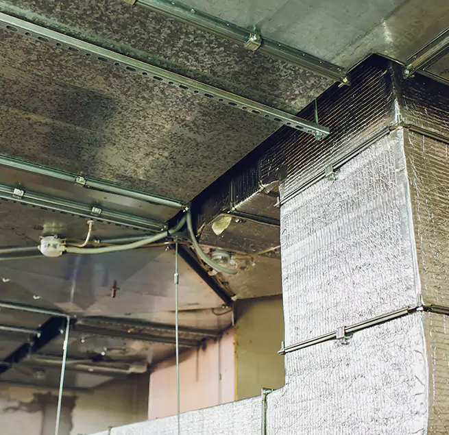 Why Homeowners & Businesses Trust Us in San Jose, CA?